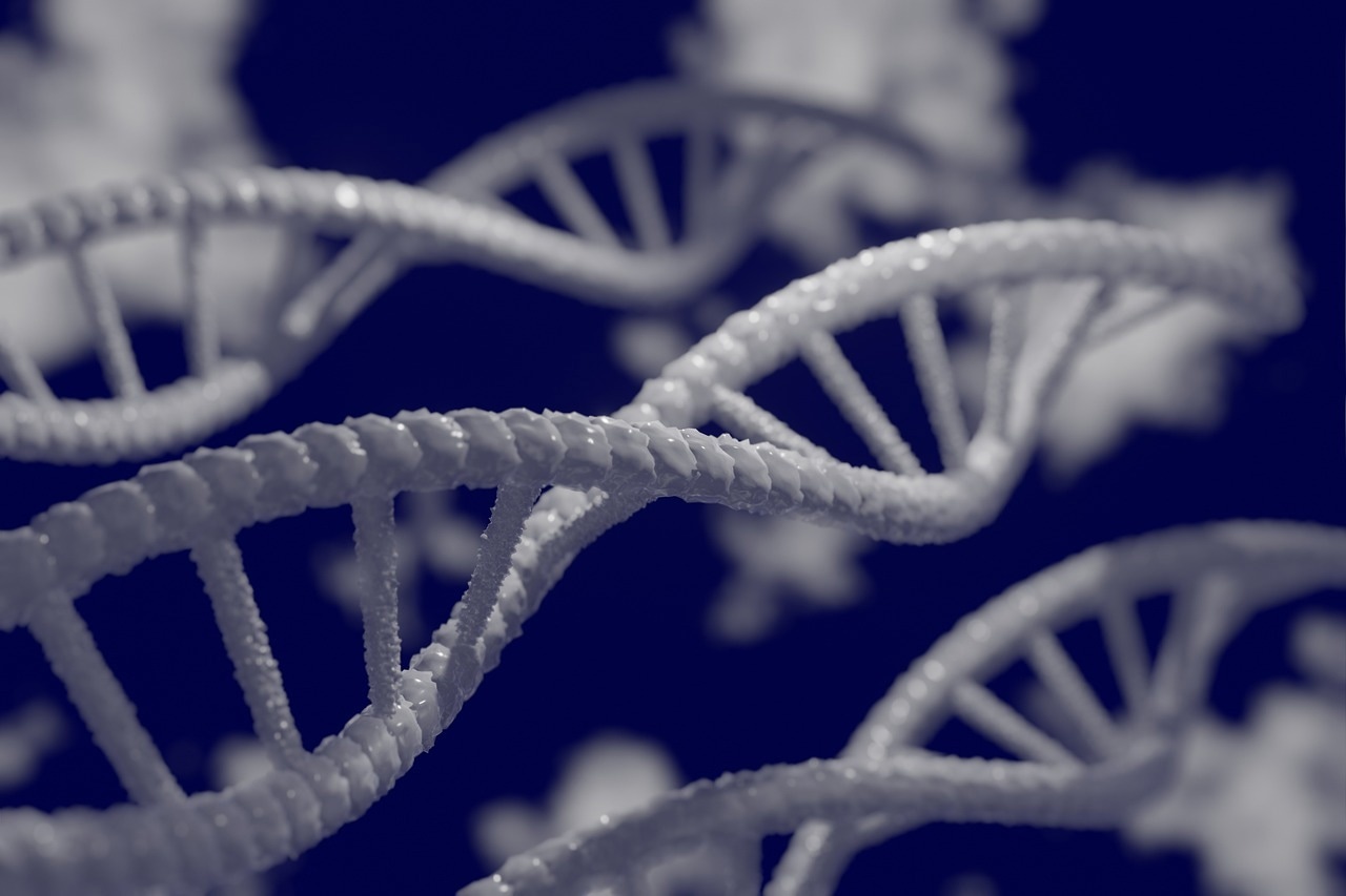 Uncovering New Insights into Virus Self-Assembly