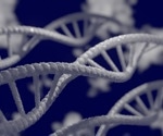 Uncovering New Insights into Virus Self-Assembly