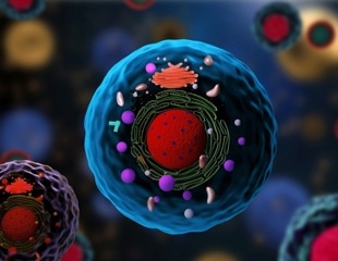 Convolutional Neural Network for Quantitative Analysis of Cell Organelles