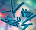 Essential Bacterial Signaling Autoproteolysis in C. thermocellum