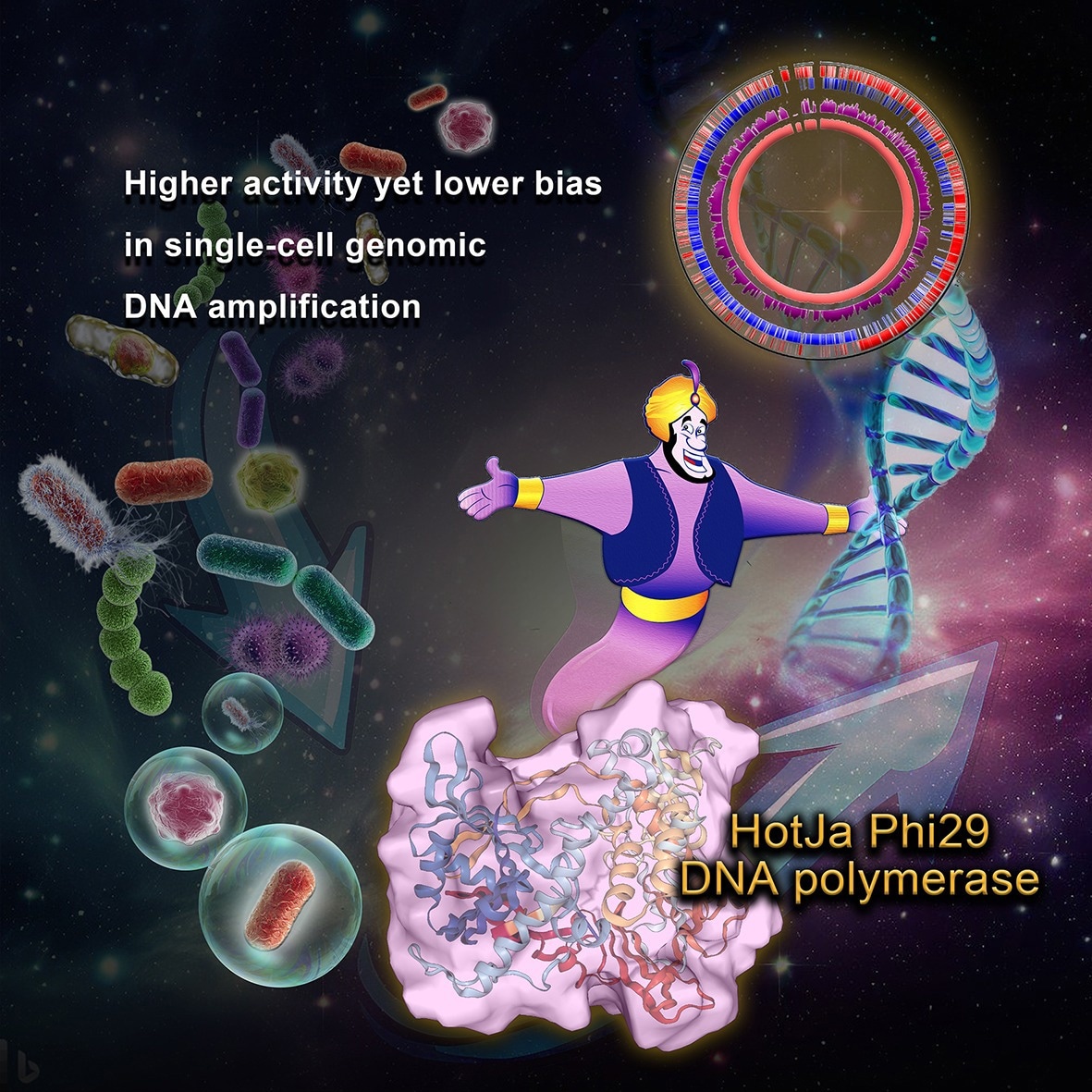 New DNA Polymerase Boosts Accuracy of Single-Cell Genome Amplification