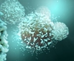 Alternate Fuel ‘Cells’ Redefines Function of Nutrition in the Immune System