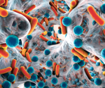 Using a New Class of Molecules to Combat Antimicrobial Resistance