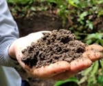 Amazon Dark Earth for Accelerated Tree Growth