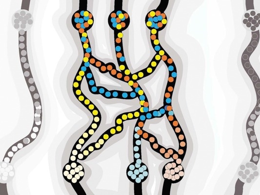 Do Host Social Interactions Influence Gut Bacteria Evolution?