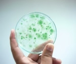 Bacteria Could Be Used to Make Sustainable Building Materials