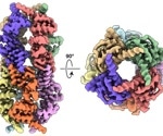 Unique Molecular Structure Has Effects on Age-Related Diseases