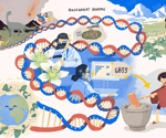 Deciphering Buckwheat’s Genome to Improve Crop Yields