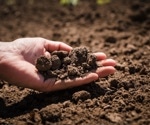 Study Finds Insights to Improve Understanding of Microbes’ Function