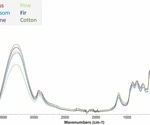 New research provides a rapid and non-destructive method for identifying honey's botanical origin