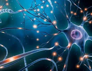 PS Gene Editing Rebuilds Lost Neural Connections in Brain Disorder