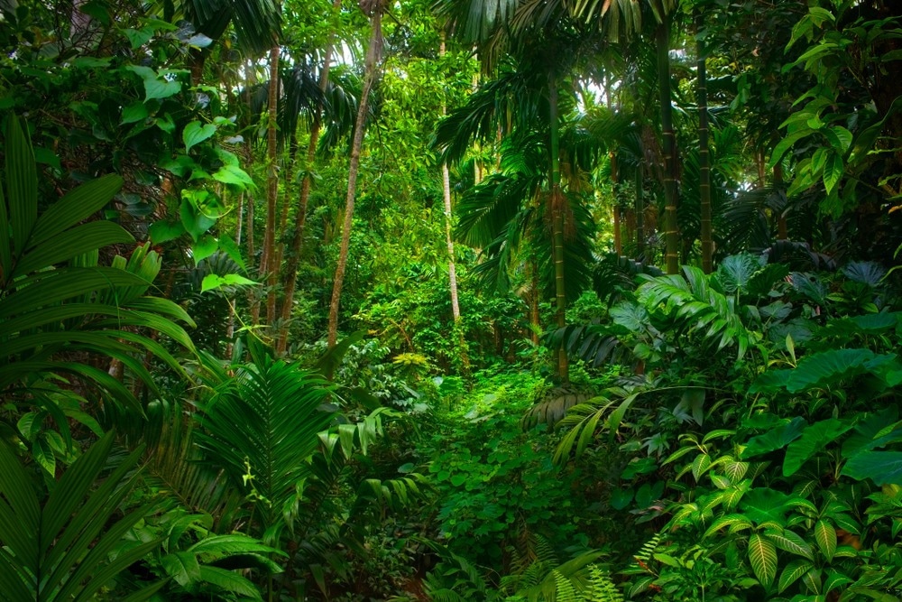Image Credit: Teo Tarras/Shutterstock.com