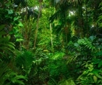 Using Swabs to Detect Over 50 Species of Animals in Rainforest