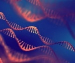 Changes in RNA Induced by Different Chemical Modifications
