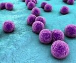 New Strain of Marine Bacteria with Distinct Characteristics