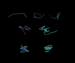 Versatile, Language-Based Approach Aids in the Design of New Proteins