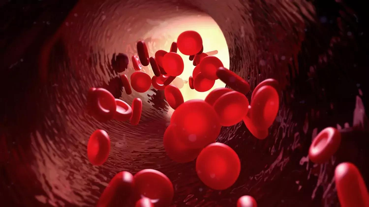 Red Blood Cells May Hold the Key to Preventing Heart Diseases