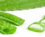 Aloe Vera Peels for Pest Control on Staple Food Crops