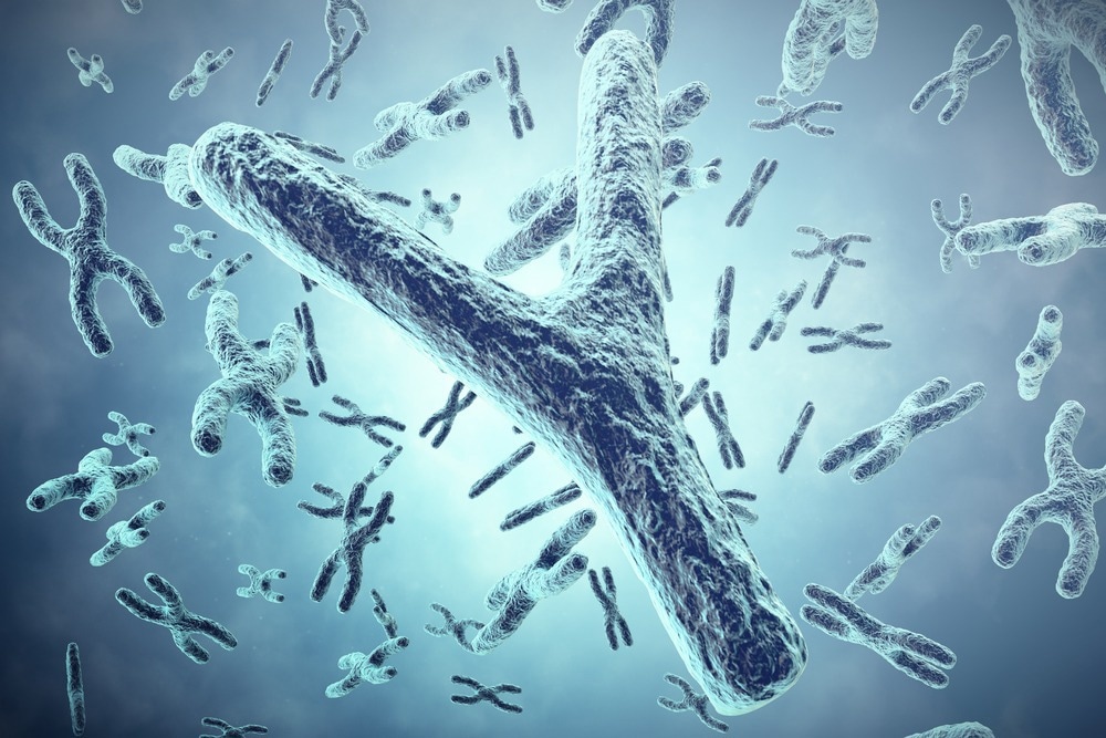 New Mechanism Underpins Paternal Methylation Imprinting