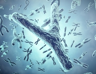 New Mechanism Underpins Paternal Methylation Imprinting