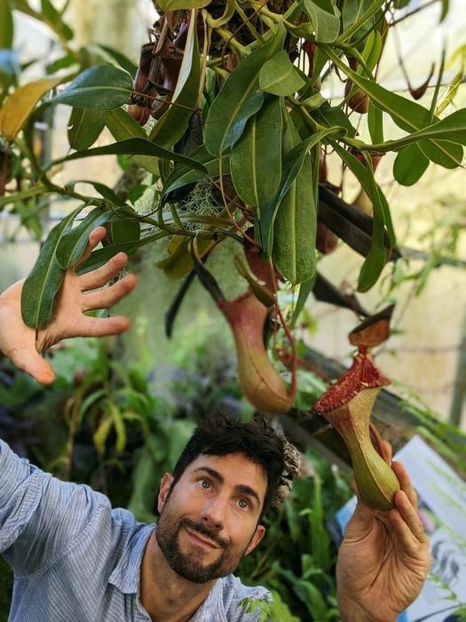 The Role of Peristome Geometry in Carnivorous Pitcher Plant Prey Capture