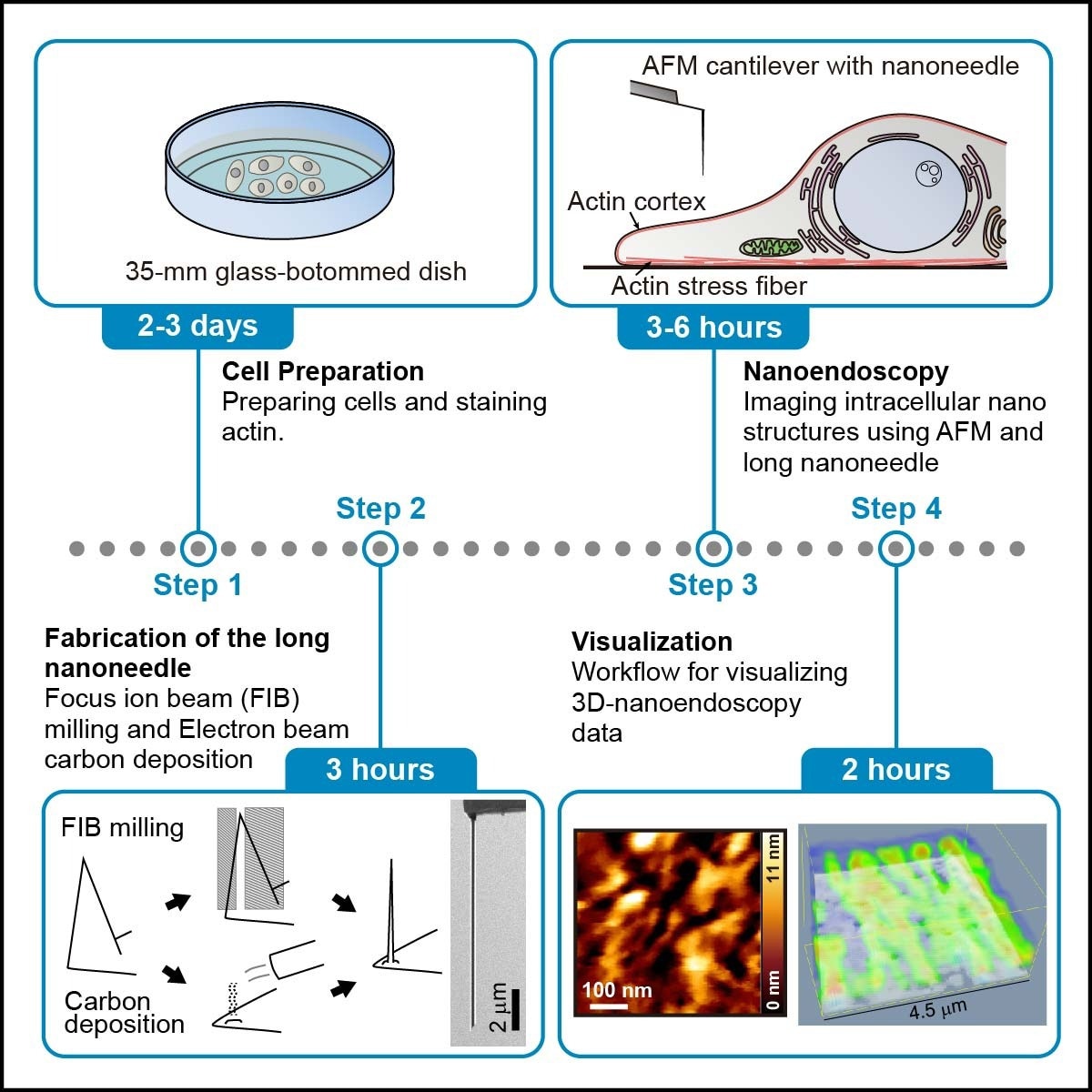 Kanazawa University Research: Researchers Define a Protocol for Narrow Cantilever Fabrication and High-Resolution Imaging of Living Cells Using AFM
