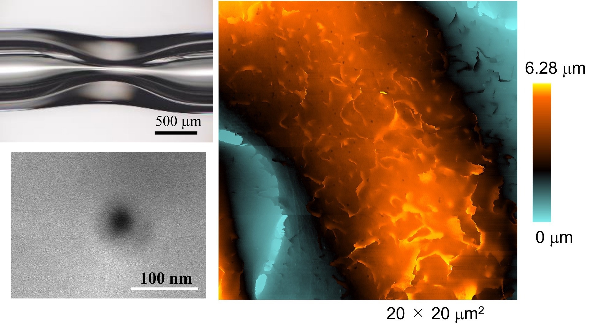 Kanazawa University Research: Researchers Define a Nanopipette Fabrication Protocol for High Resolution Cell Imaging