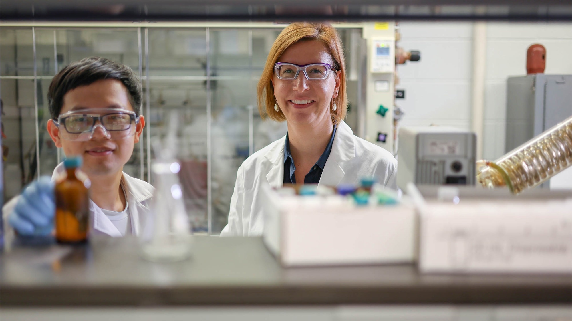 Iron-Targeting Compounds Hamper Proliferation of Cancer Cells