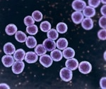Scientists Uncover New Genetic Insights into Staphylococcus Aureus