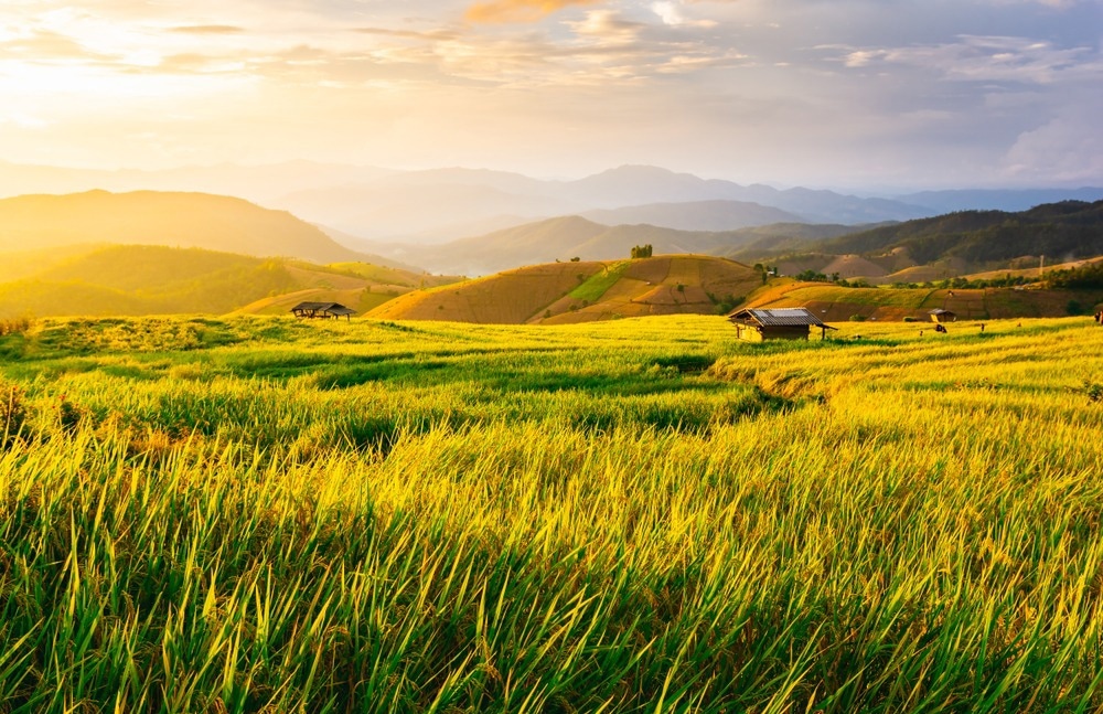 Image Credit: Torjrtrx/Shutterstock.com