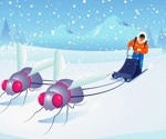 Fruit Fly Study Reveals New Insights into Exercise and Cold Tolerance