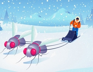 Fruit Fly Study Reveals New Insights into Exercise and Cold Tolerance