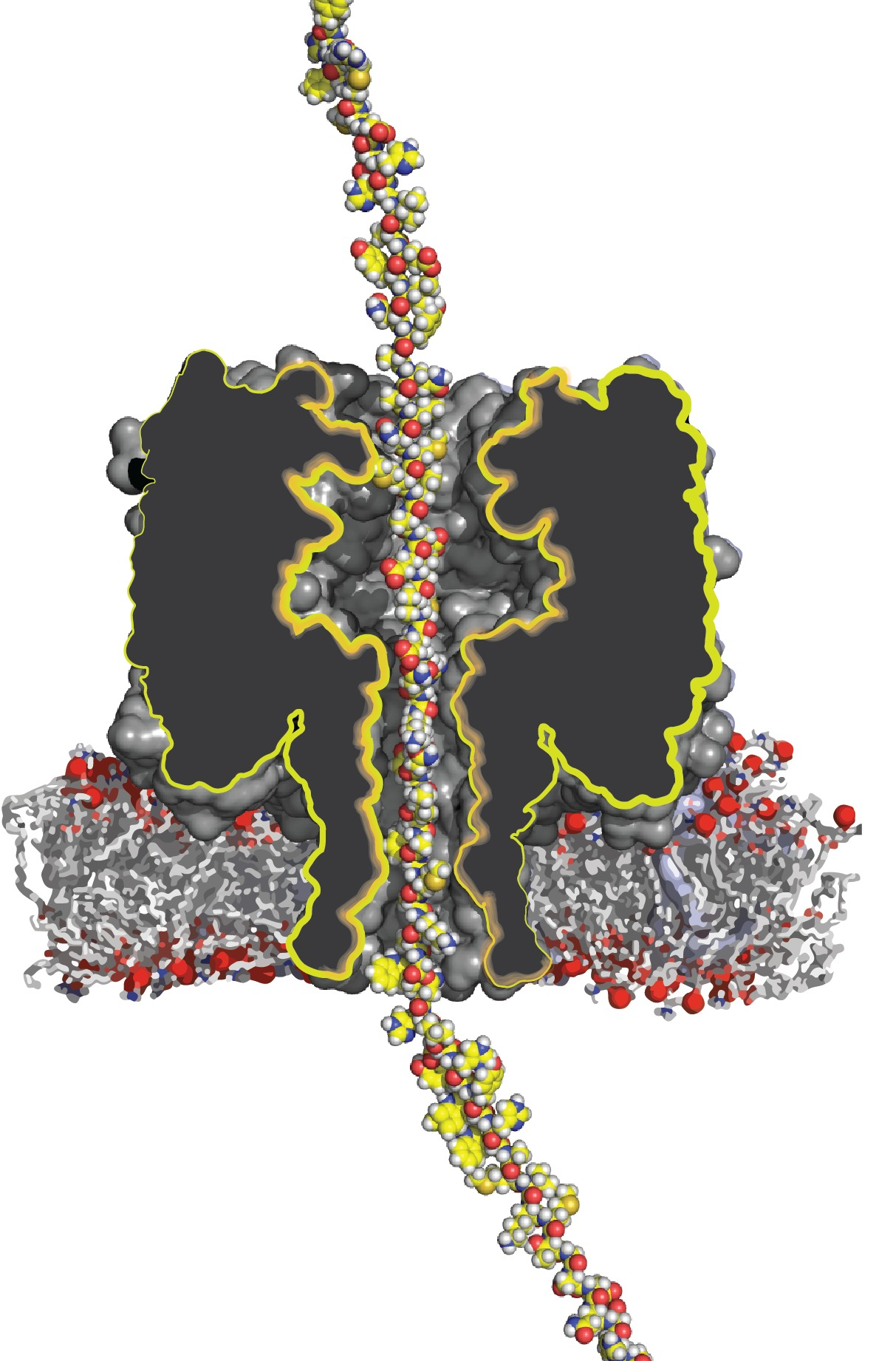 The Final Piece Required for Easy Protein Sequencing