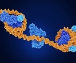 Study Delves Deeper into Understanding How Humans Behave