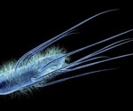 Discovering the Key Molecule Involved in Bacterial Locomotion