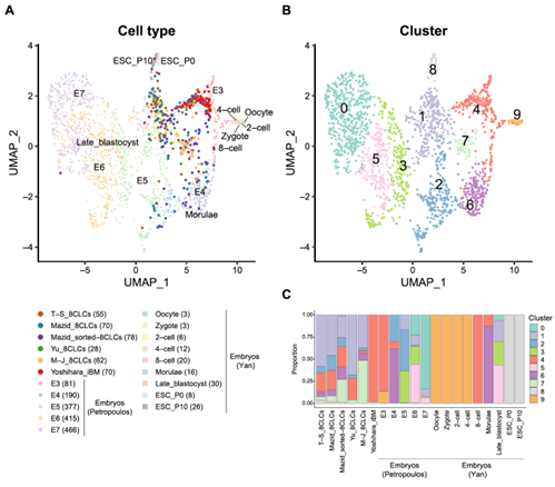 Towards A Better Understanding of Early Human Embryonic Development
