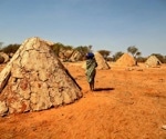 Modern DNA Research Sheds Light on Genetic Diversity of Southern Africa