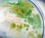 A New Toxin from Aetokthonos hydrillicola Shows Potential Anticancer Properties