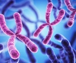 Unraveling the Link Between Chromosomal Instability and Cancer Spread