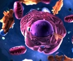 A High-Resolution Glimpse into Peroxisomal Processes