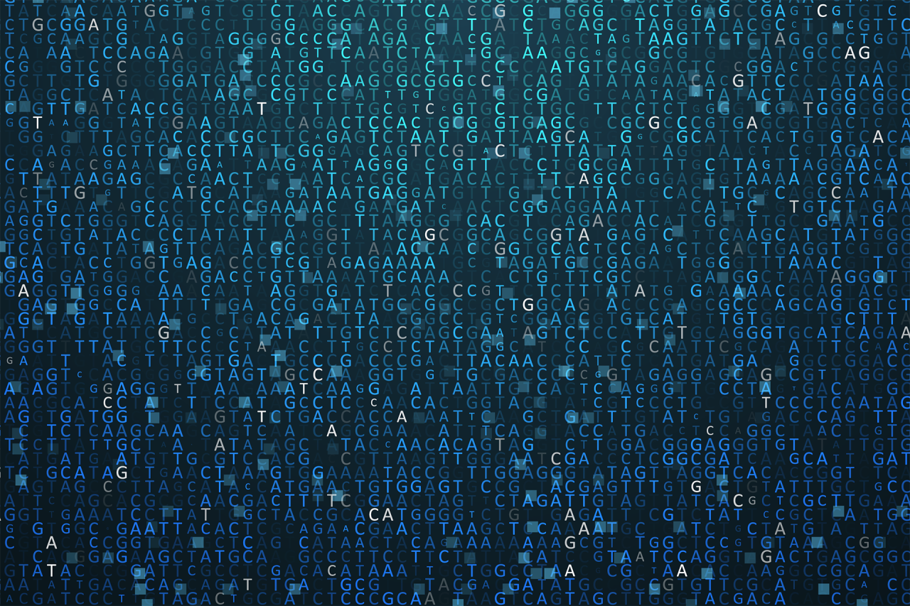 The Distinct Divergence in the Genetic Code