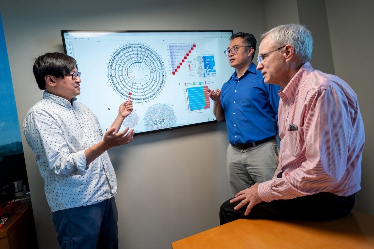 Effectiveness of SCID-X1 Gene Therapy Influenced by 3D Genome Architecture