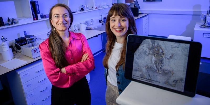 Ancient Frogs Provide First Molecular Evidence of Ginger Coloration