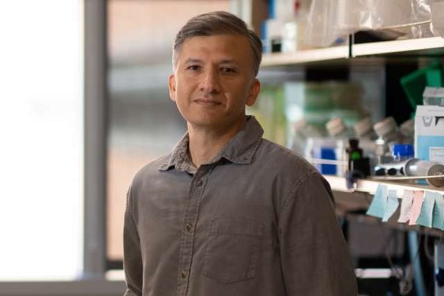 Revealing How Interferon-Gamma Stops Tumor Cell Growth
