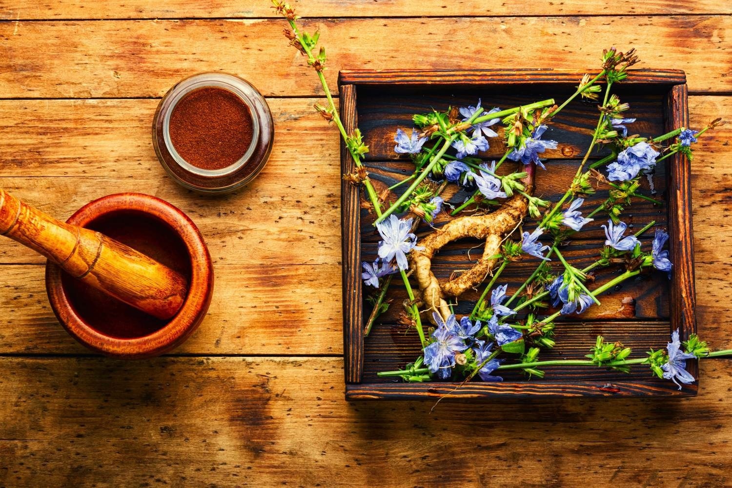 How Plant-Derived Nutrients can Affect the Gut and Brain