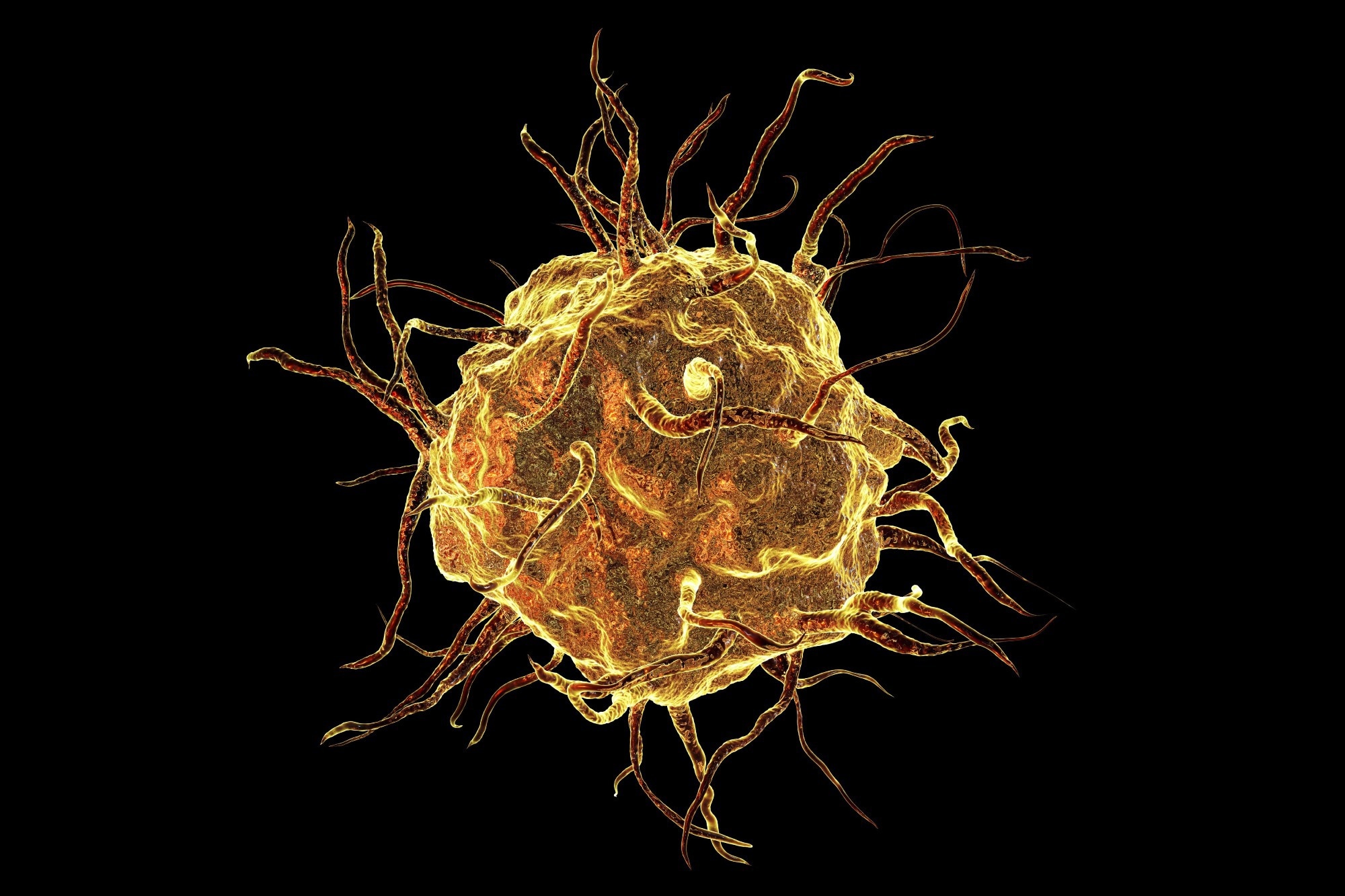 Revealing the Complex Interplay Between Immune Cells and Tissue Regeneration
