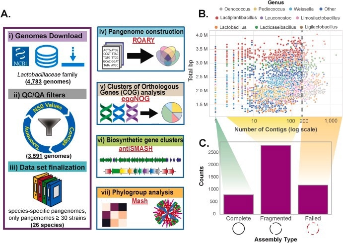 Uncovering the Genetic Landscape of Lactic Acid Bacteria