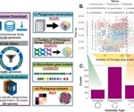 Uncovering the Genetic Landscape of Lactic Acid Bacteria