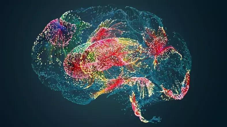 New Atlases Reveal Unprecedented Detail of the Human Brain