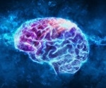 New Atlases Reveal Unprecedented Detail of the Human Brain